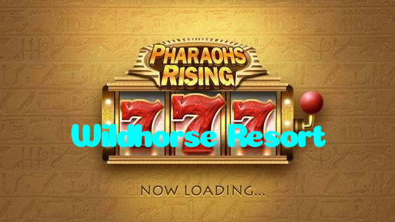 available types of Wildhorse Resort bet including pre-match live express and system bets